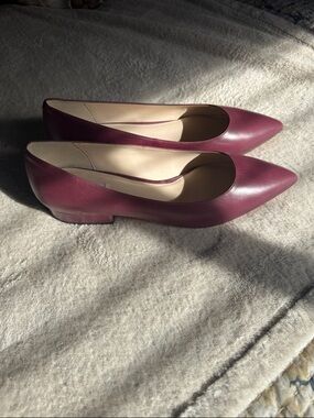 Cole Haan Pointed Toe Low Heel Pumps in  Plum. NWOT. 8.5